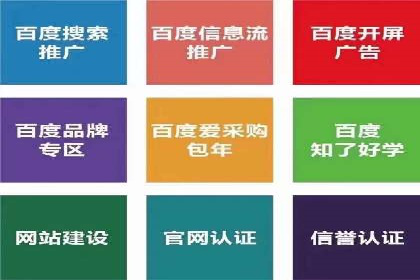 案例研究：竞价广告助力电商行业增长